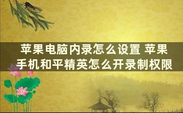 苹果电脑内录怎么设置 苹果手机和平精英怎么开录制权限